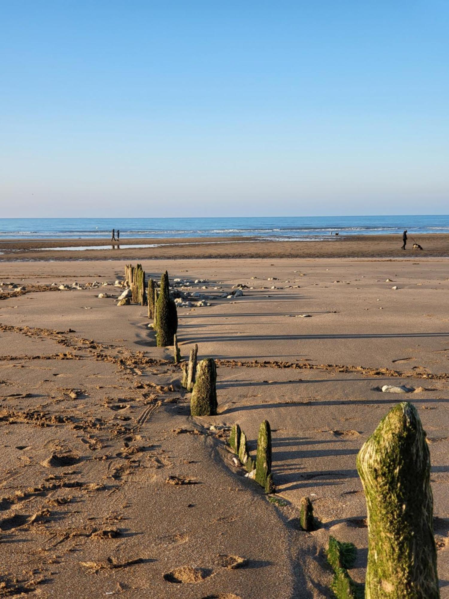 Charmante Petite Villa Sur Deauville Trouville-Sur-Mer Touques Eksteriør billede